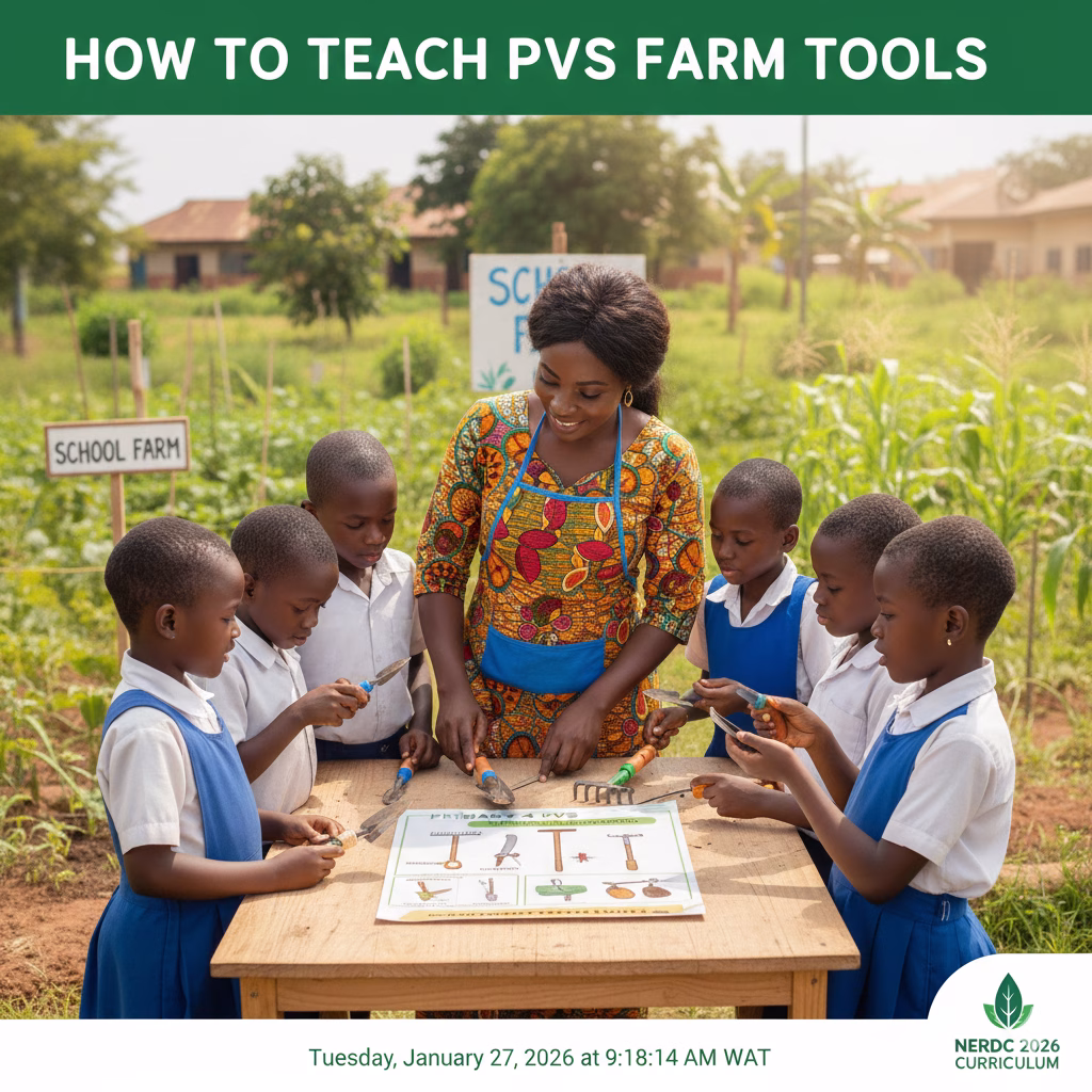 Primary 4 second term PVS lesson notes on farm tools